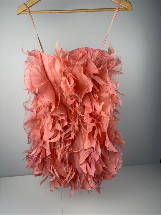 Shen peng Dresses & Skirts - Silk Coral Feathered Short Mini Dress
